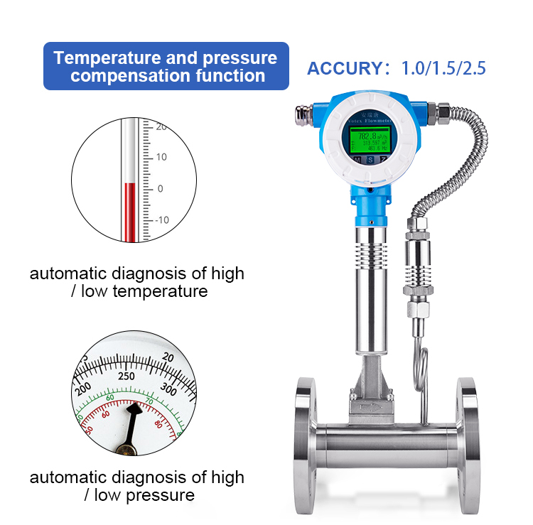 Vortex Flow Meter for Steam 