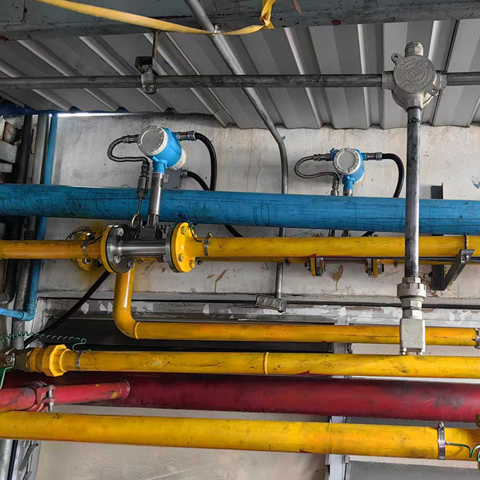 Vortex Flowmeter for Steam